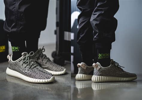 turtle dove 2022 release date